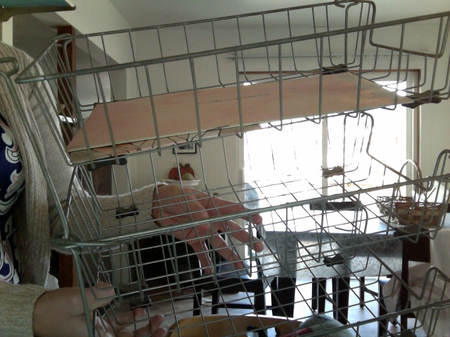 Photo on 2017-10-08 at 16.11