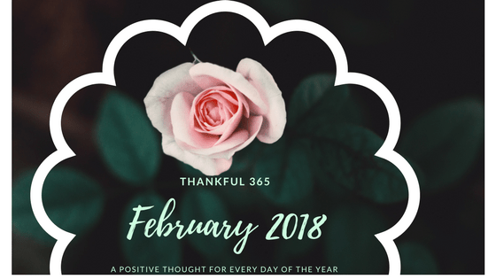 thankful 365 Feb 2018 rose