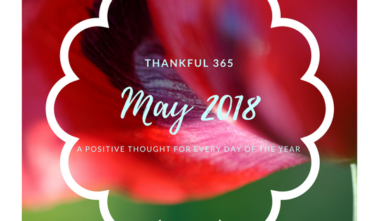 thankful 365